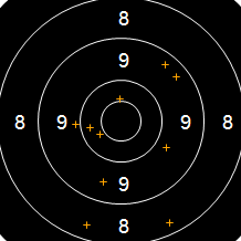 Target Image