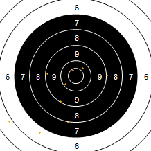 Target Image