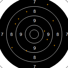 Target Image