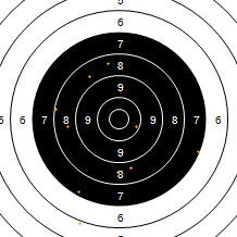 Target Image