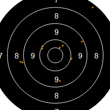 Target Image