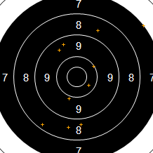 Target Image