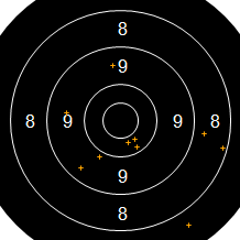 Target Image