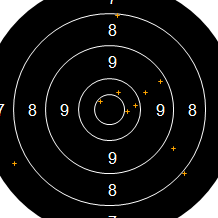 Target Image