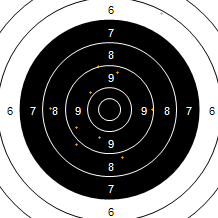 Target Image
