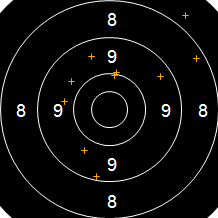 Target Image