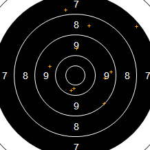 Target Image