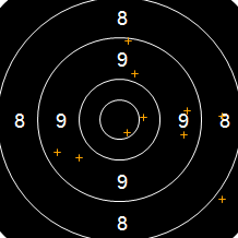 Target Image