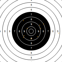 Target Image