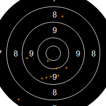 Target Image