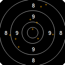 Target Image