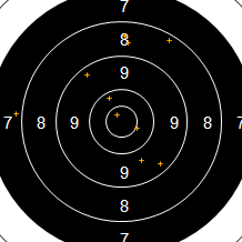 Target Image
