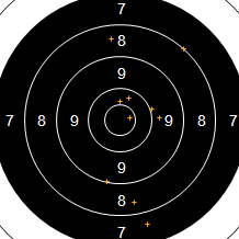 Target Image