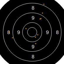 Target Image