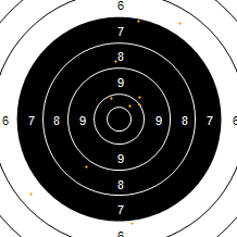 Target Image