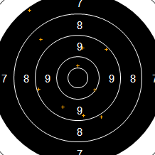 Target Image