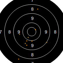 Target Image
