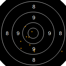 Target Image