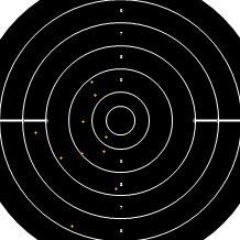 Target Image
