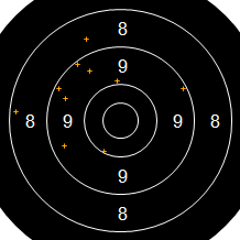 Target Image