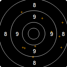 Target Image