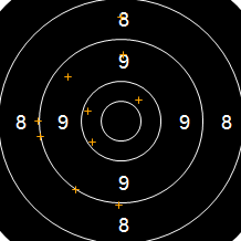 Target Image