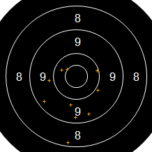 Target Image