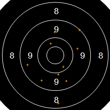 Target Image