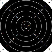 Target Image