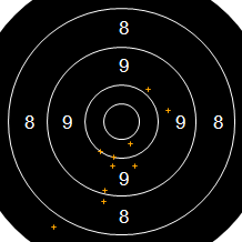 Target Image