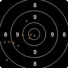 Target Image