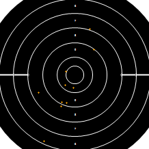 Target Image