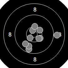 Target Image