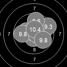 Target Image