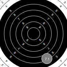Target Image