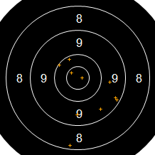 Target Image