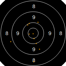 Target Image