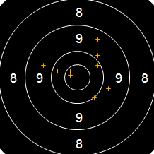 Target Image