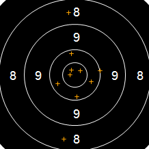 Target Image