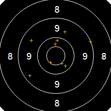 Target Image