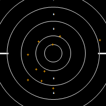 Target Image