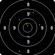 Target Image