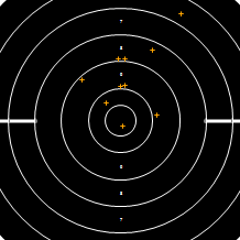 Target Image