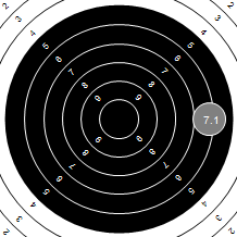 Target Image