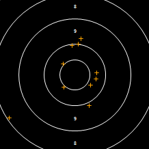 Target Image