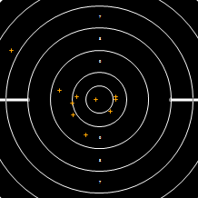 Target Image