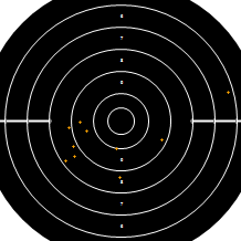 Target Image