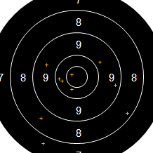 Target Image