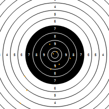 Target Image