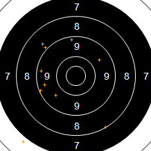 Target Image
